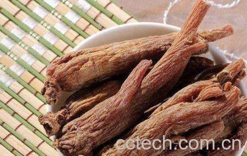 红参的功效与作用 红参怎么吃-0