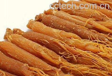 红参的功效与作用 红参怎么吃-1