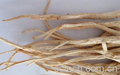 中药桔梗的功效与作用-0