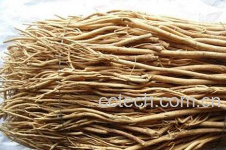 甘草的功效和作用及药用价值-1