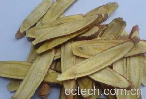 甘草的功效和作用及药用价值-0