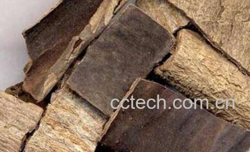  杜仲的功效与作用及药用价值-0