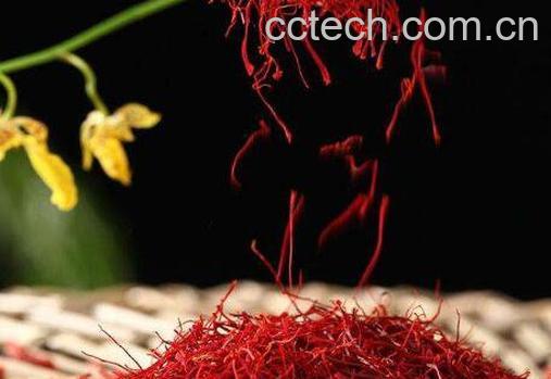 藏红花怎么吃 藏红花的吃法技巧-0