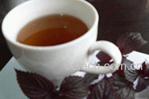 紫苏根煮水有什么功效-1