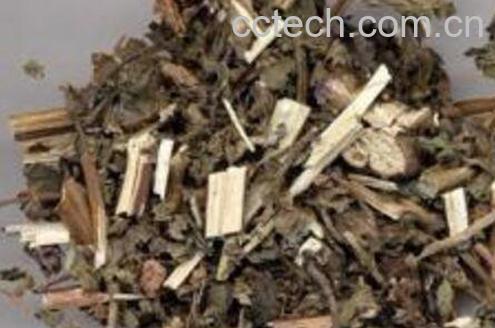 紫苏根煮水有什么功效-0