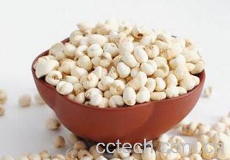 川贝的功效与作用-1