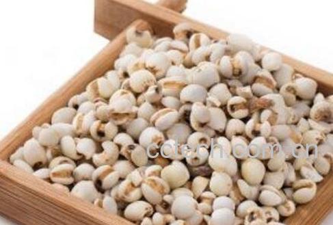 薏米的功效与作用及药用价值-1