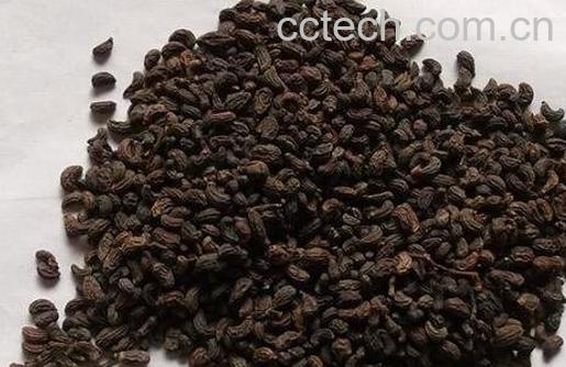 女贞子的功效与作用及药用价值-0