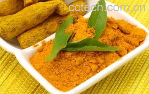 姜黄的功效与作用及药用价值-1