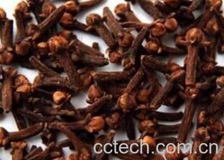 公丁香的功效与作用-0