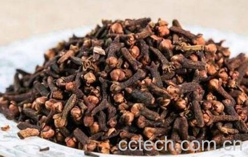 公丁香的功效与作用-1