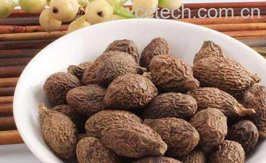 胖大海的功效与作用及药用价值-0