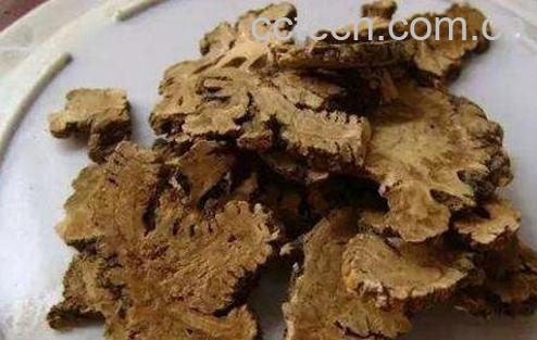 川芎的功效与作用及药用价值-0