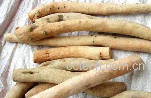 白芍的功效与作用及食用方法-1