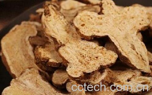 白术的功效与作用及药用价值-0