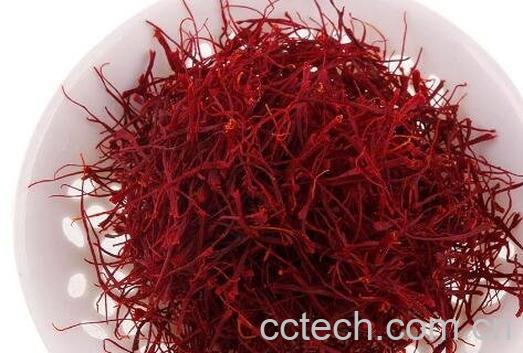 藏红花的功效与作用有哪些-0