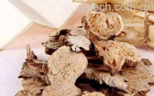 白术的功效与作用及药用价值-1