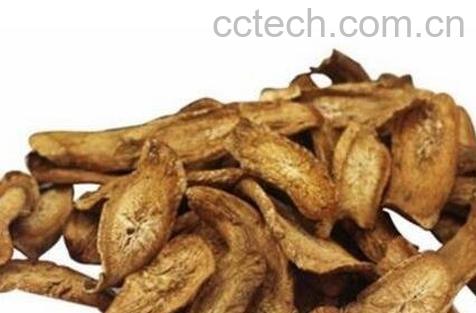 牛蒡根的功效与作用及禁忌-0