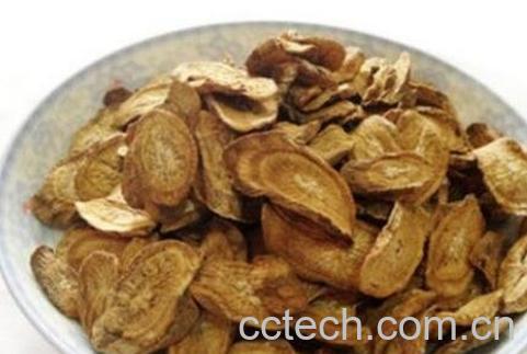 牛蒡对男人有什么作用-0