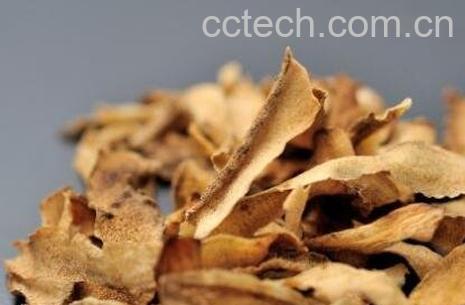 牛蒡对男人有什么作用-1