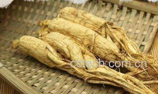 吃人参的功效与作用-0