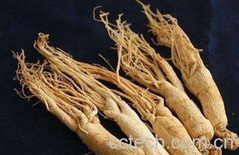 吃人参的功效与作用-1