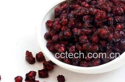 五味子的功效与作用及药用价值-0