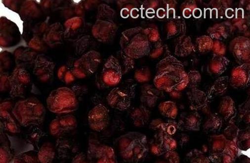 五味子的功效与作用及药用价值-1