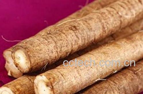 牛蒡怎么吃 牛蒡的常见吃法-0