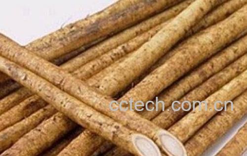 牛蒡怎么吃 牛蒡的常见吃法-1