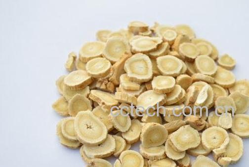 黄芪有哪些功效与作用-0