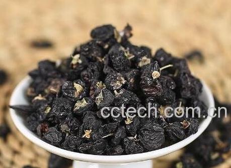 黑枸杞有哪些功效与作用-1