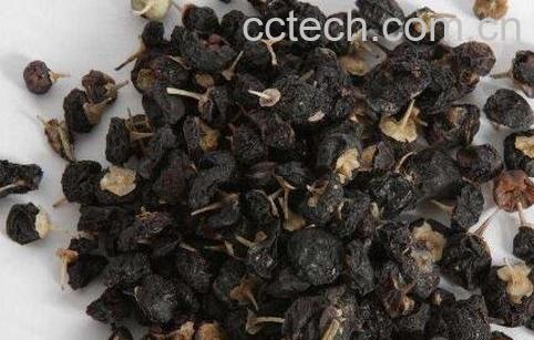 黑枸杞有哪些功效与作用-0