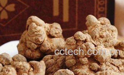  三七的功效与作用有哪些-1