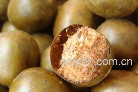 罗汉果怎么吃 罗汉果的吃法技巧-0