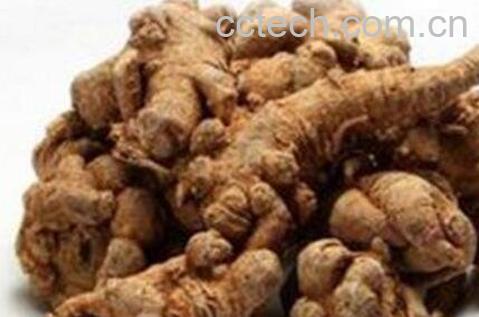  三七的功效与作用有哪些-0