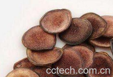 鹿茸片怎么吃 鹿茸片的吃法技巧-0