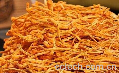 孢子头虫草花泡茶的功效与作用-0