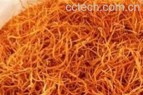 孢子头虫草花泡茶的功效与作用-1