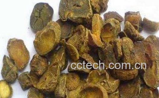 醋延胡索的功效与禁忌-0