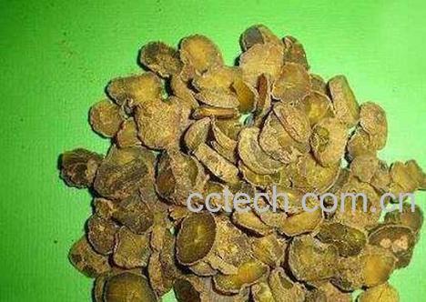 醋延胡索的功效与禁忌-1