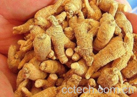 花旗素干有什么功效与作用-1