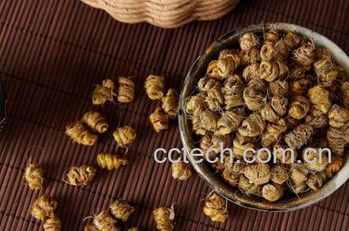 金石斛的功效与禁忌-1