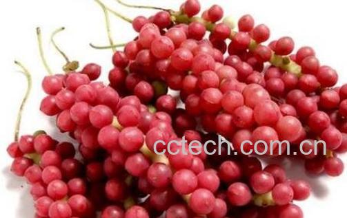 五味子的功效与禁忌-1