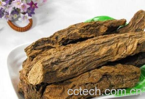 肉苁蓉有哪些功效与作用-1