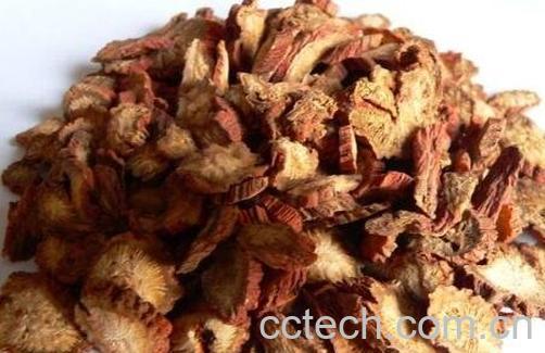 丹参有哪些功效与作用-0