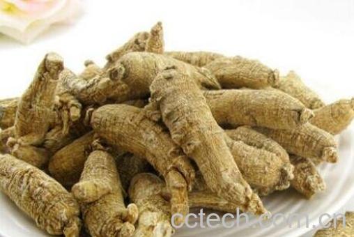 西洋参有哪些功效与作用-0