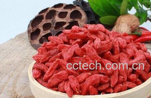 枸杞子有哪些作用与功效-0