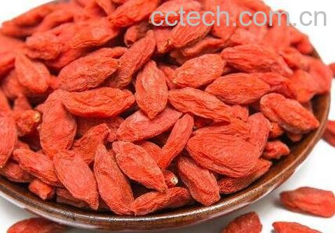 枸杞子有哪些作用与功效-1