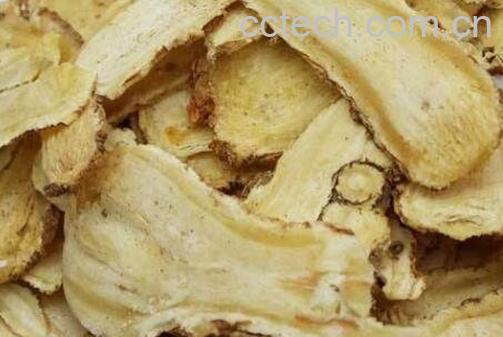 当归泡水有哪些功效与作用-1